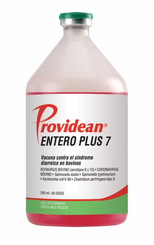 Entero Plus 7