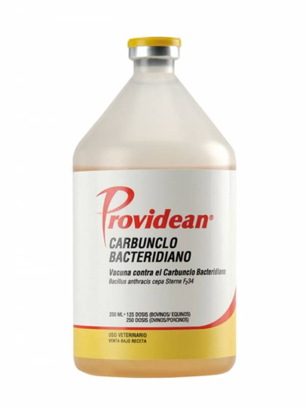 Carbunclo