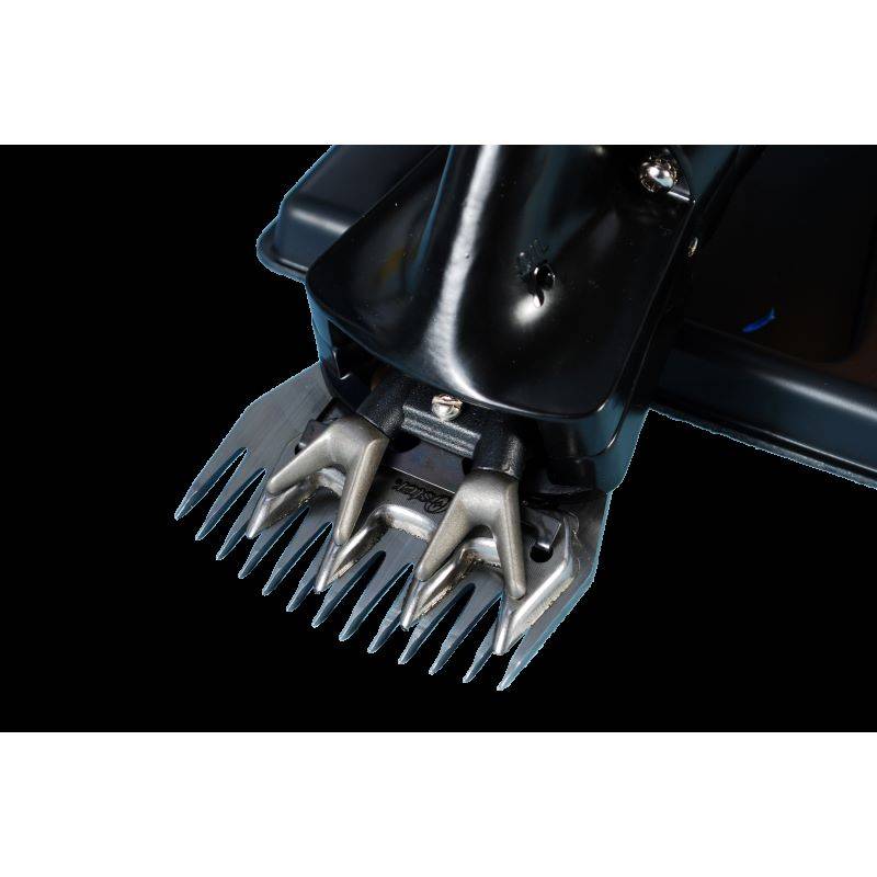 Juego de peine Arizona y cortante AAA