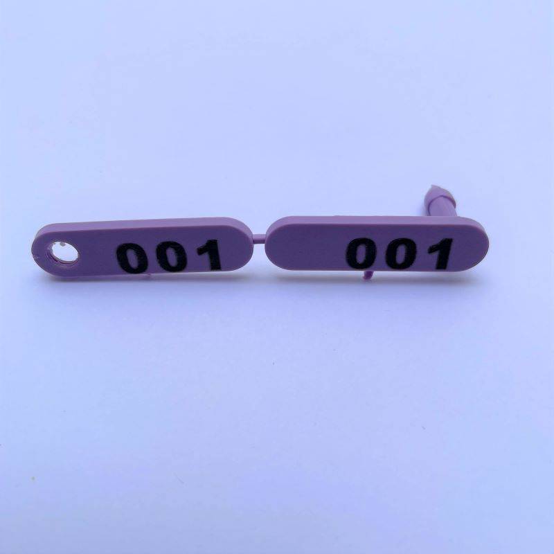 Caravana mini Durflex numerada Violeta
