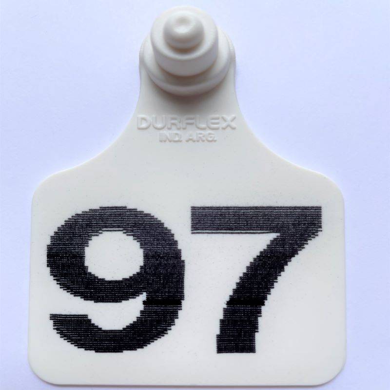 Caravana grande Durflex numerada Blanco