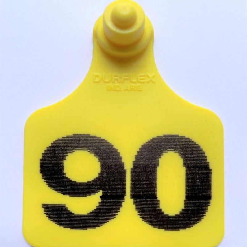 Caravana grande Durflex numerada Amarillo