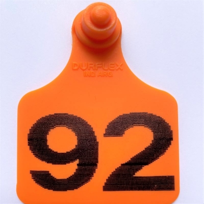 Caravana grande Durflex numerada Naranja