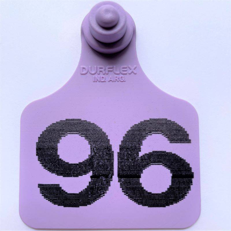 Caravana grande Durflex numerada Violeta