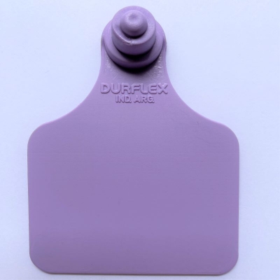 Caravana grande Durflex sin numerar Violeta