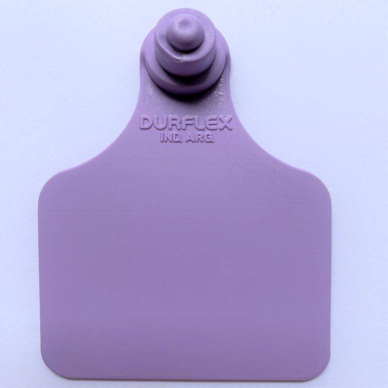 Caravana grande Durflex sin numerar Violeta
