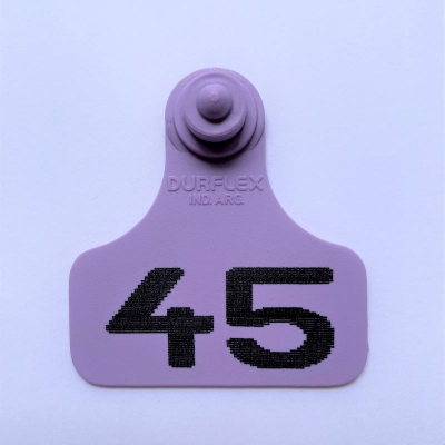 Caravana mediana Durflex numerada Violeta
