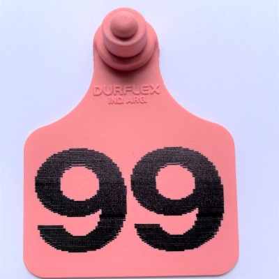 Caravana grande Durflex numerada Rosa